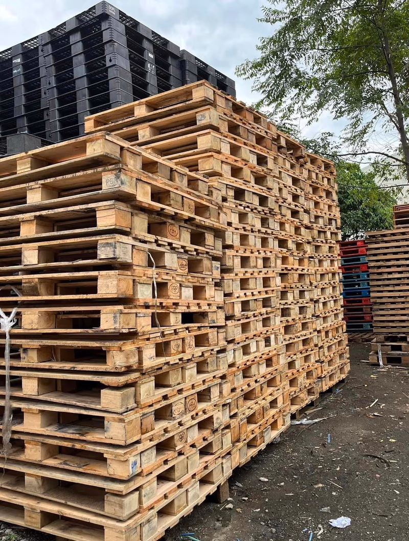 Tampa, Florida - Grade A Premium 48x40 Wood Pallets