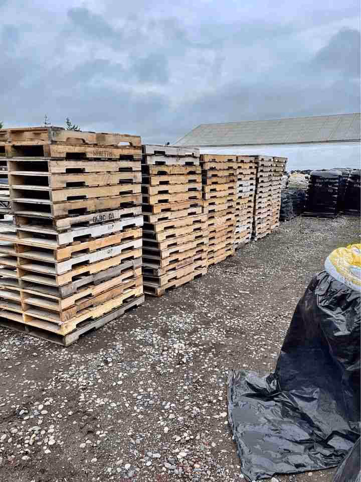 Lansing, Michigan - Grade B Standard Wood Pallets