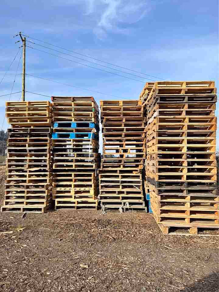 Springfield, Missouri - Grade B Standard Wood Pallets