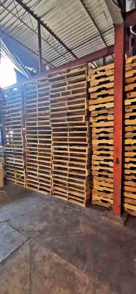 Paterson, New Jersey - Grade A Premium 48x40 Wood Pallets