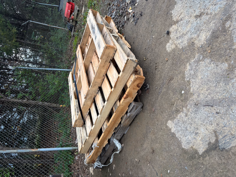 Everett, Washington - Grade A Premium 48x40 Wood Pallets