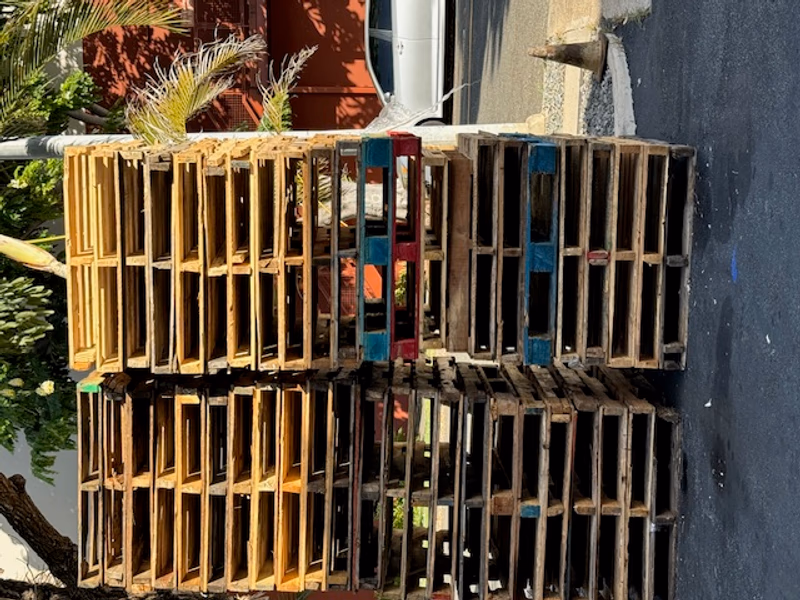 Ventura, California - Grade B Standard Wood Pallets