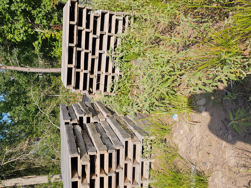 Inglewood, California - Grade A Premium 48x40 Wood Pallets